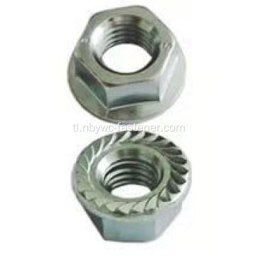 Hindi kinakalawang na asero hex flange nut